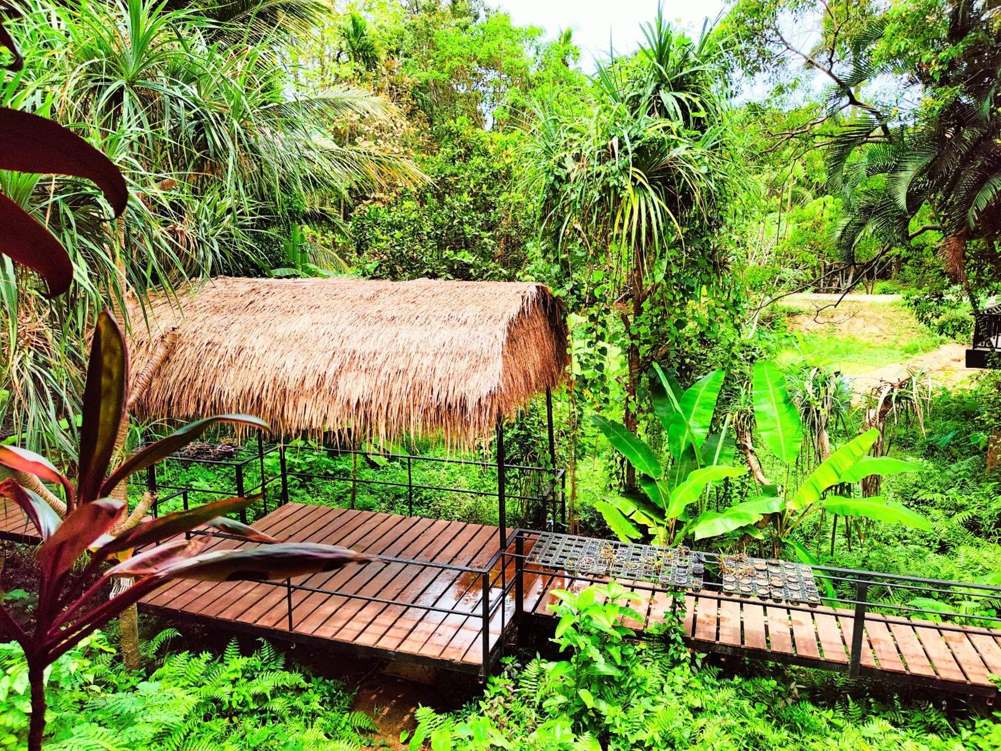 Phuket Jungle Experience Resort Karon Esterno foto